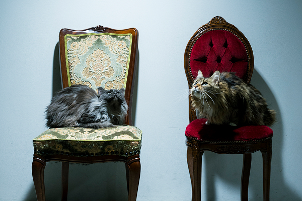 営業なのに、何をしているか説明するのがむずかしい仕事です